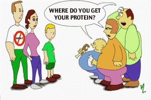 proteinfatties