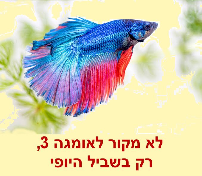 דג