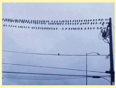 הוא יודע משהו...