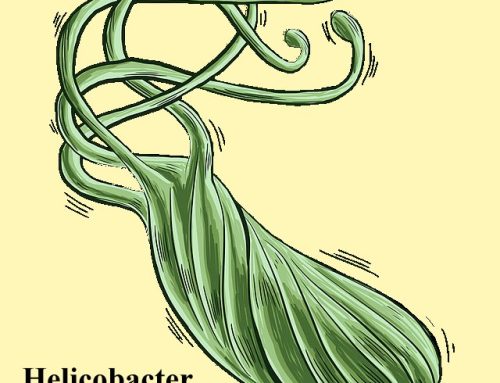 376: נלחמים בהליקובקטר