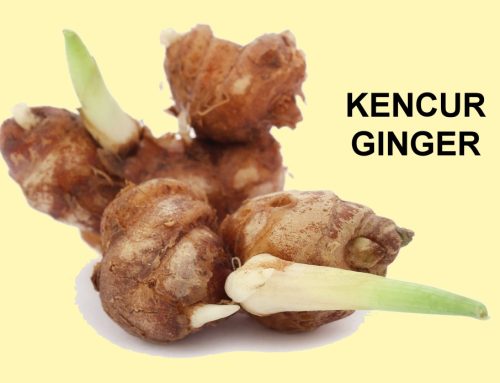 379: אוכל נגד סרטן