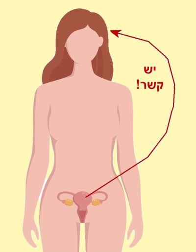 יש קשר בין הרחם למוח