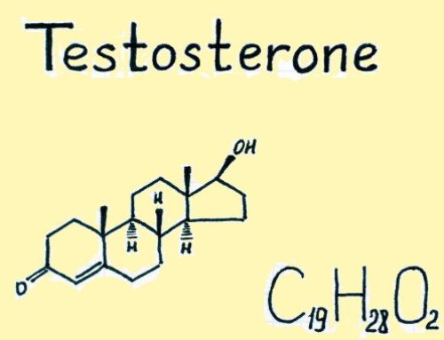389: לבנים ולבנות זוגם